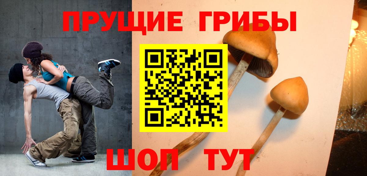 Тамбов  Галлюциногенные грибы прущие грибы  Вход с VPN 