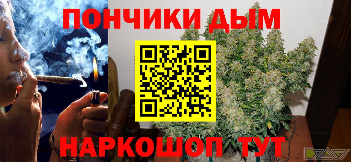 Канабис семена Тамбов